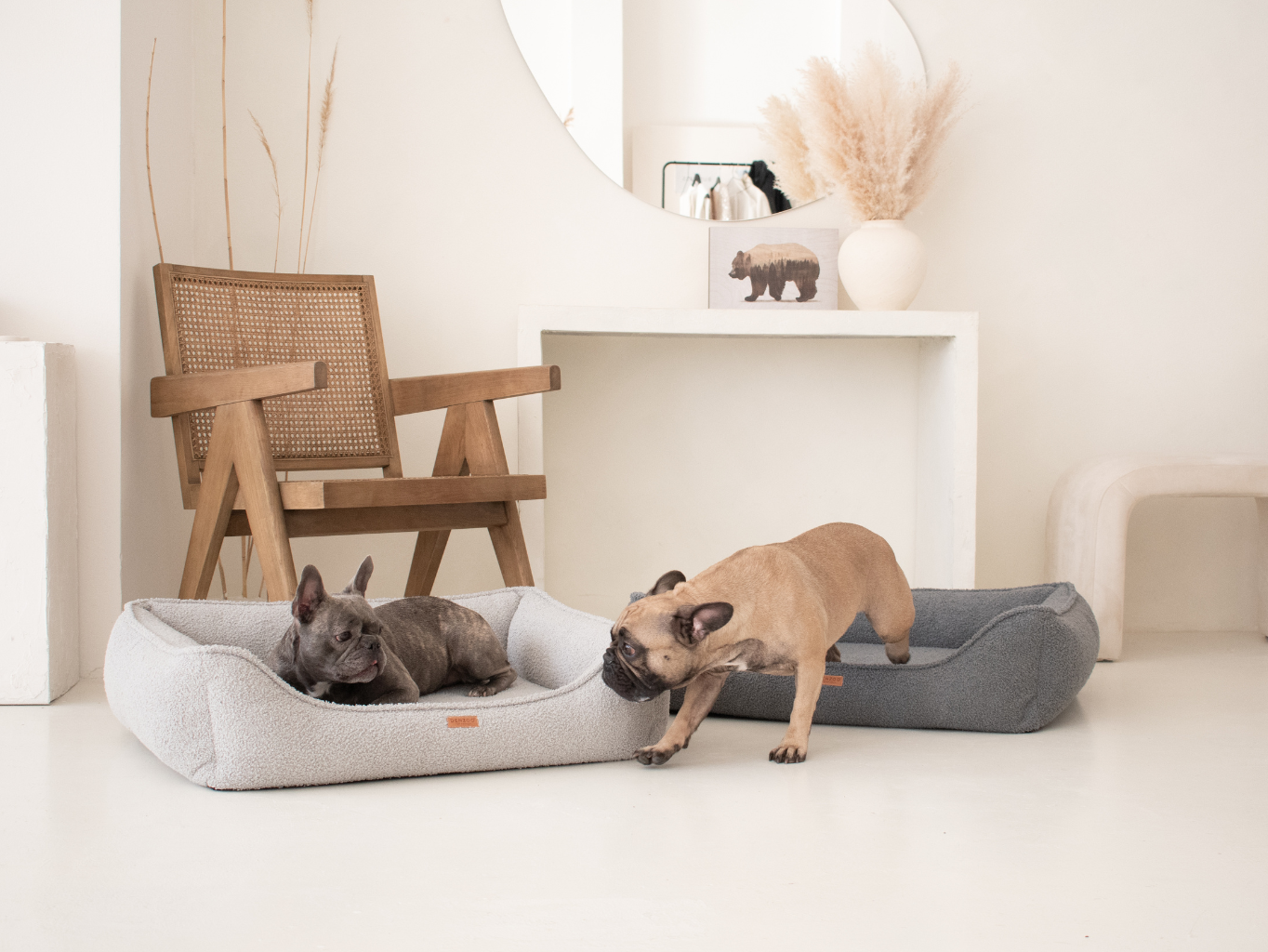 pelisek belluno grey